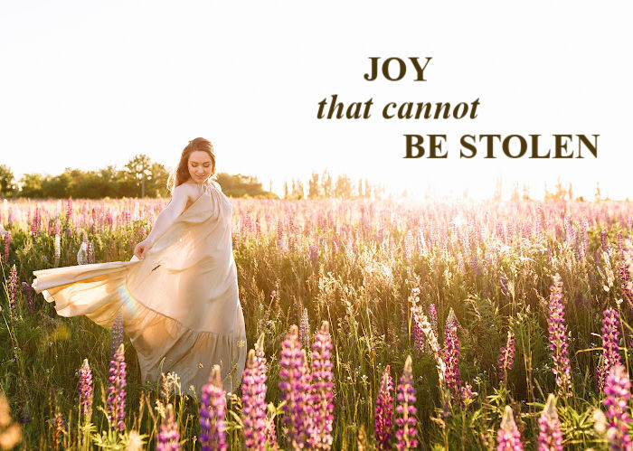 Joy That Cannot Be Stolen | February Blog