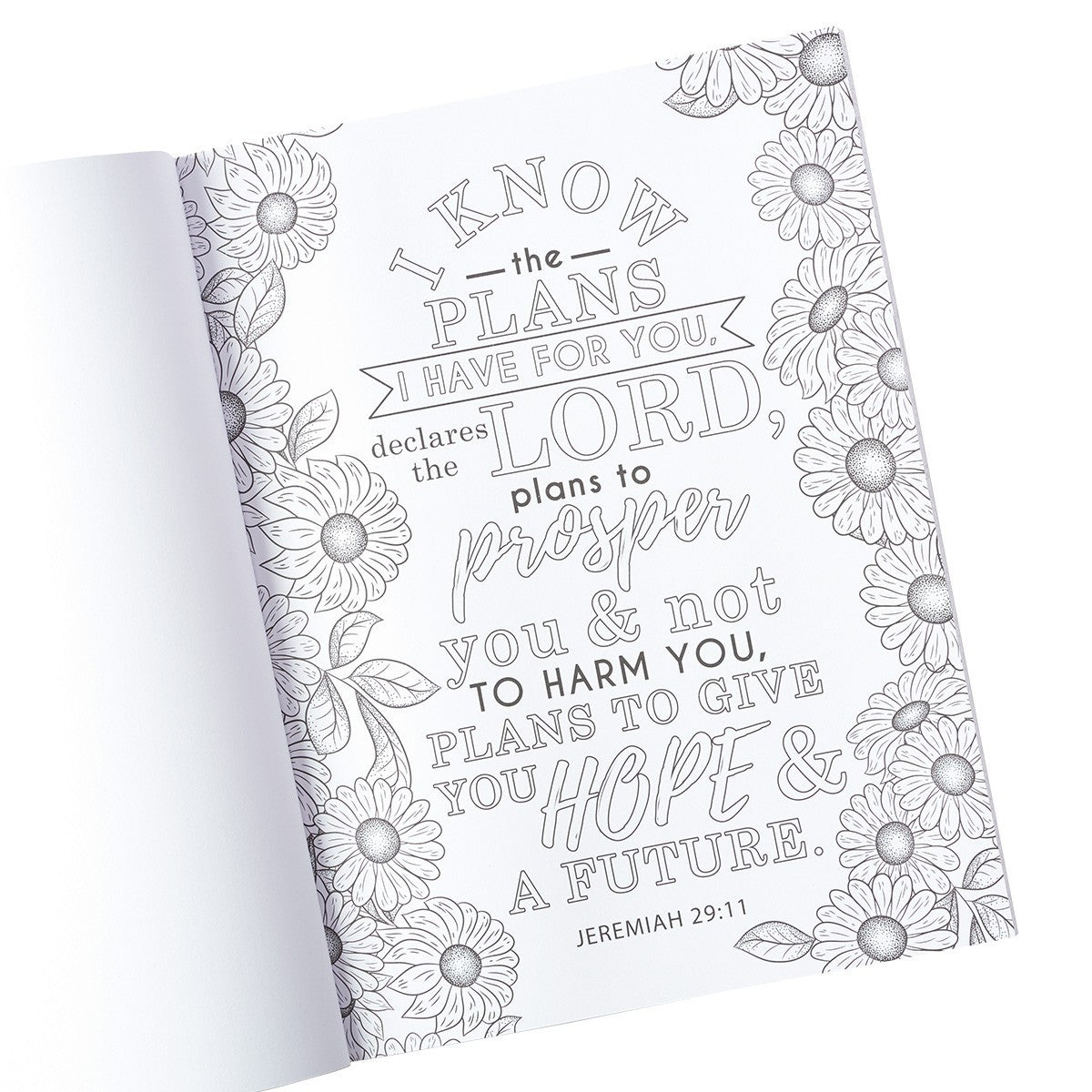 Coloring Book & Pencil Set